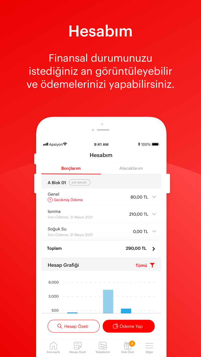 ProYönSis Profesyonel Yönetim