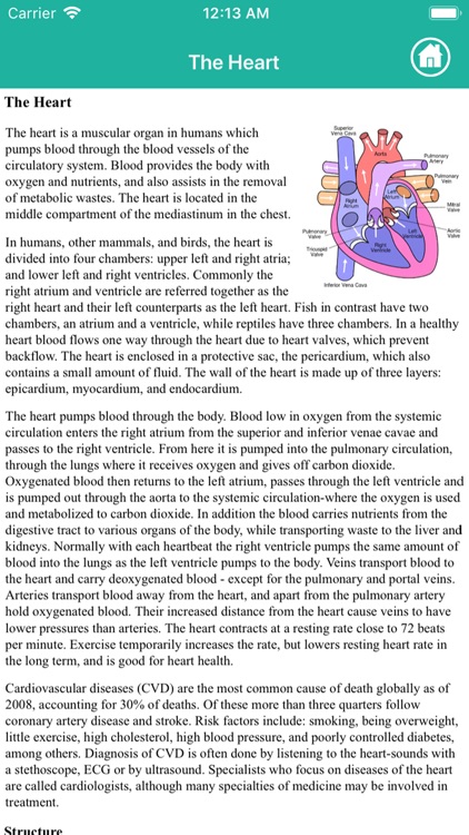 Anatomy : Circulatory System screenshot-6