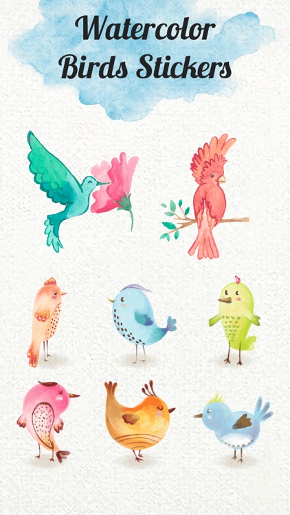 Watercolor Cute Birds Stickers