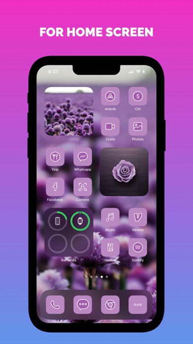 Widgets, Themes, Skins, Icons screenshot 2