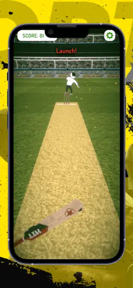 Game screenshot PM Cricket League hack