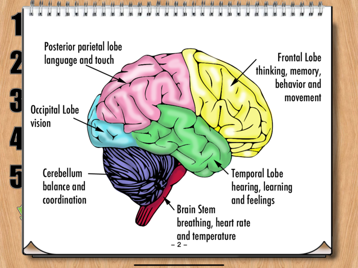 Spatial Problem Solving