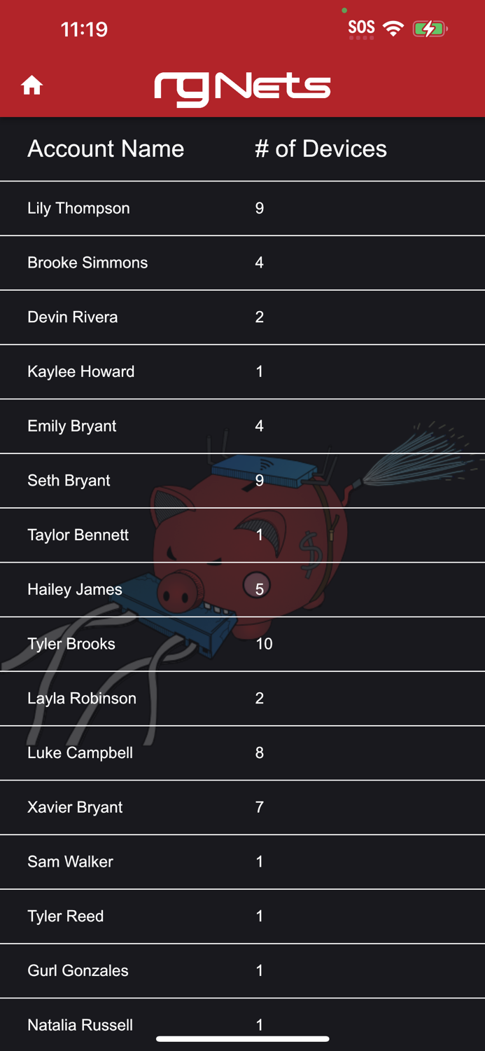 rXg Account Details Editor