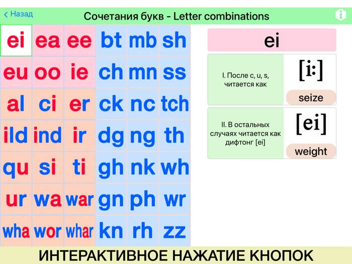 English Grammar for Kids