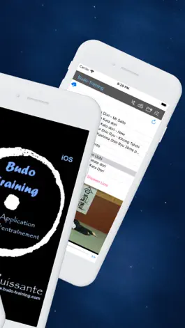 Game screenshot Budo-Training apk