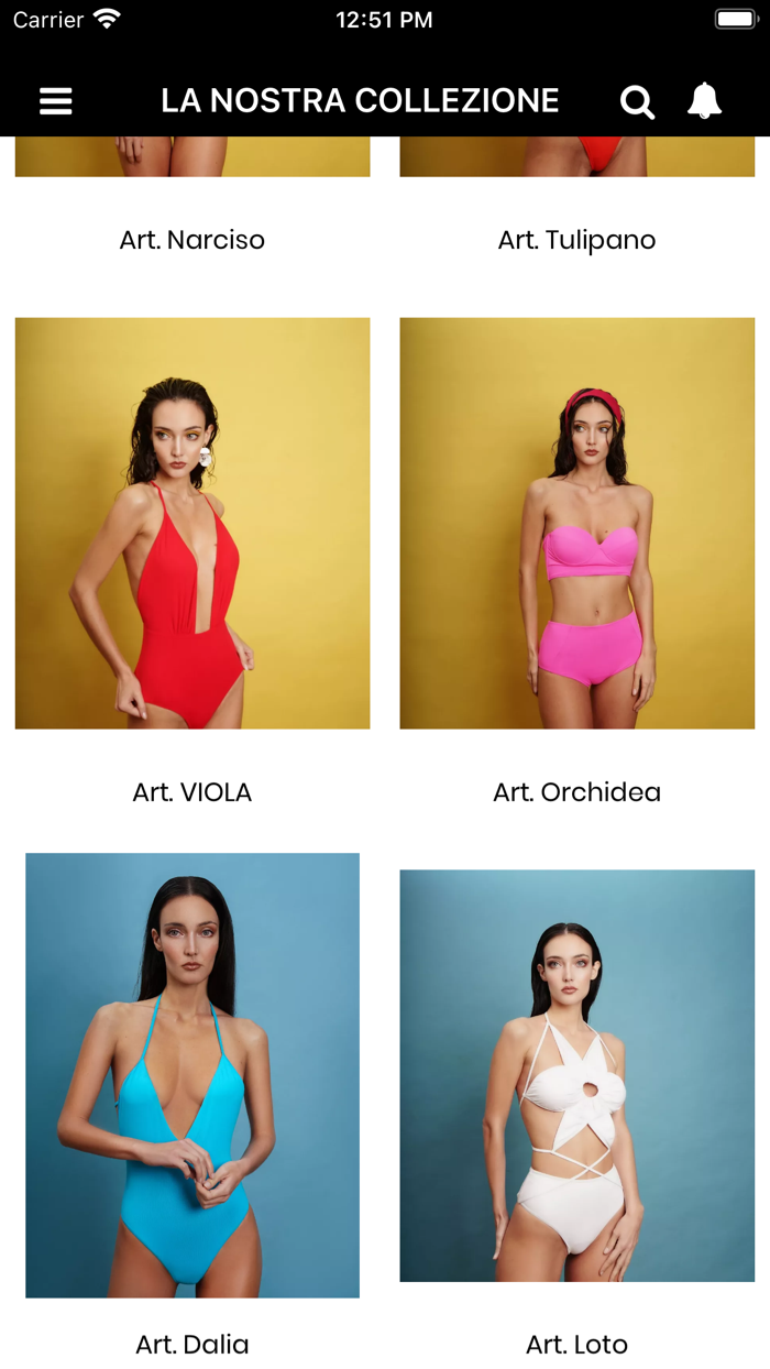 MS Marcella Spagnolo