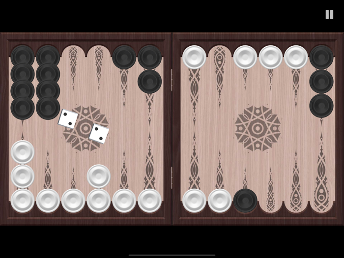 Crazy Backgammon