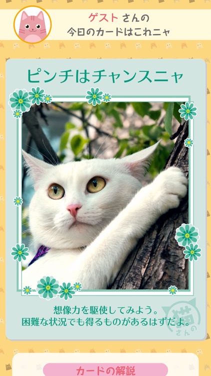 猫さんの言うことにゃ screenshot-3