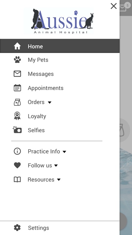 Aussie Animal Hospital screenshot-4