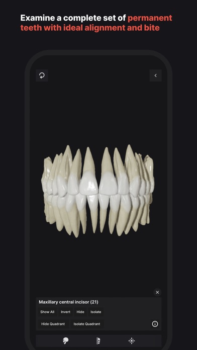 Skull,Teeth&TMJ
