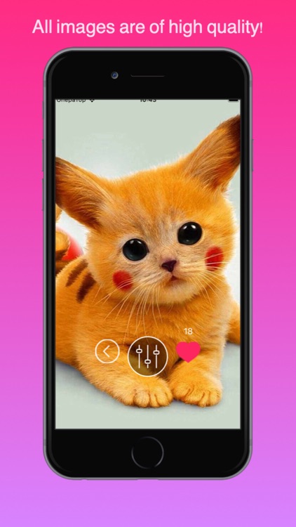 Cute cats wallpapers HD+ by Alexey Panferov