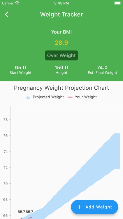 Pregnancy Companion