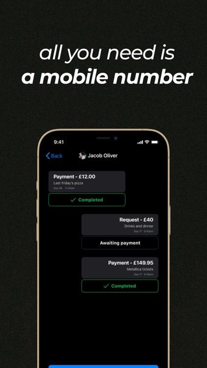 Bankpay: pay instantly by bank screenshot-5