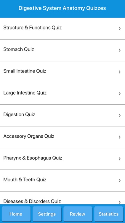 The Digestive System Anatomy