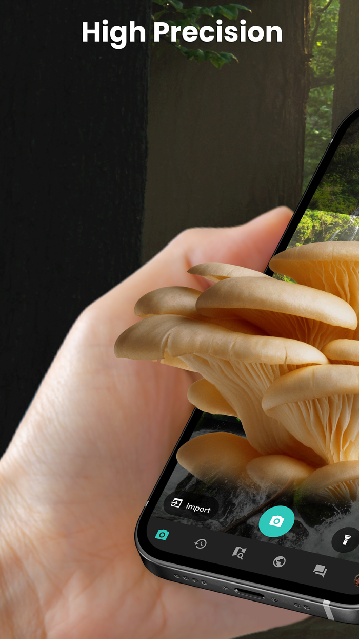 Mushroom Identifier - ShroomID