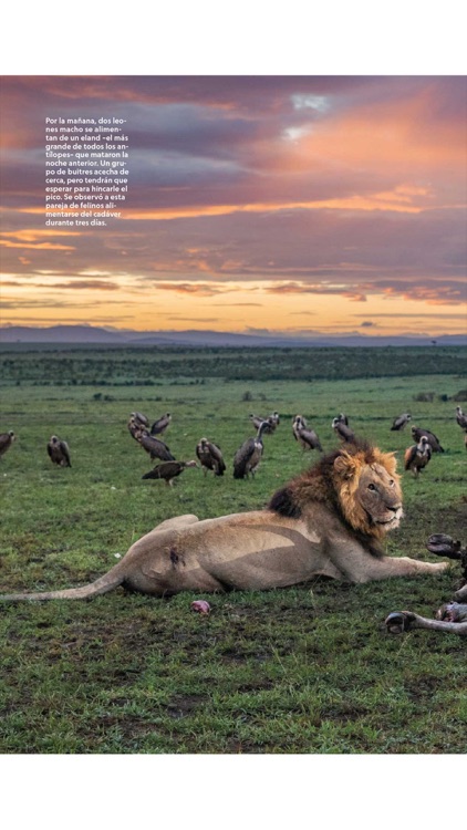 National Geographic México screenshot-3