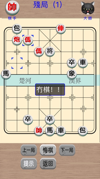 中國象棋貓