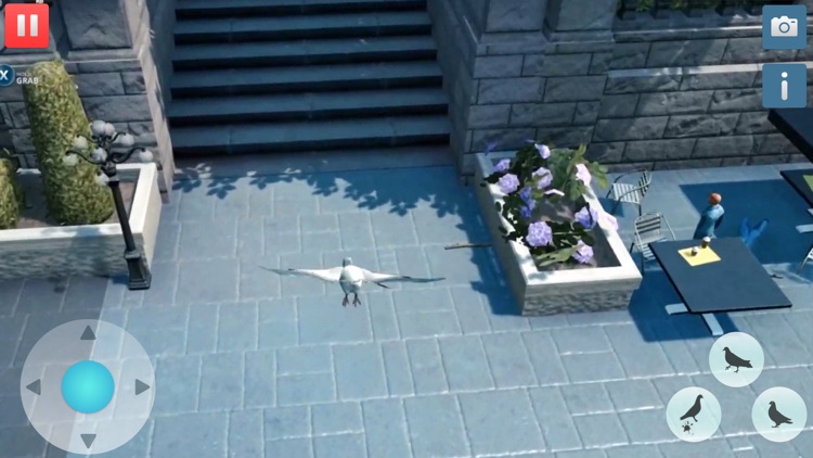 Hungry Pigeon Simulator Game screenshot-4