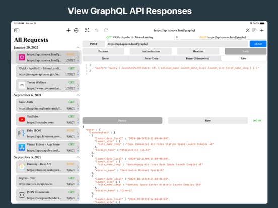REST API Client screenshot 4