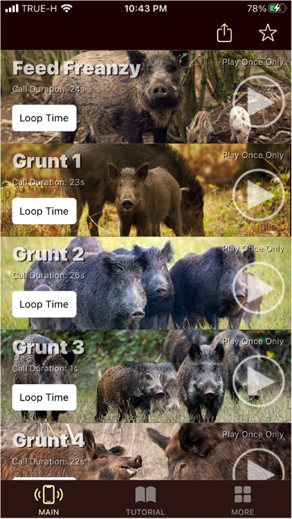 Wild Hog Calls screenshot-4