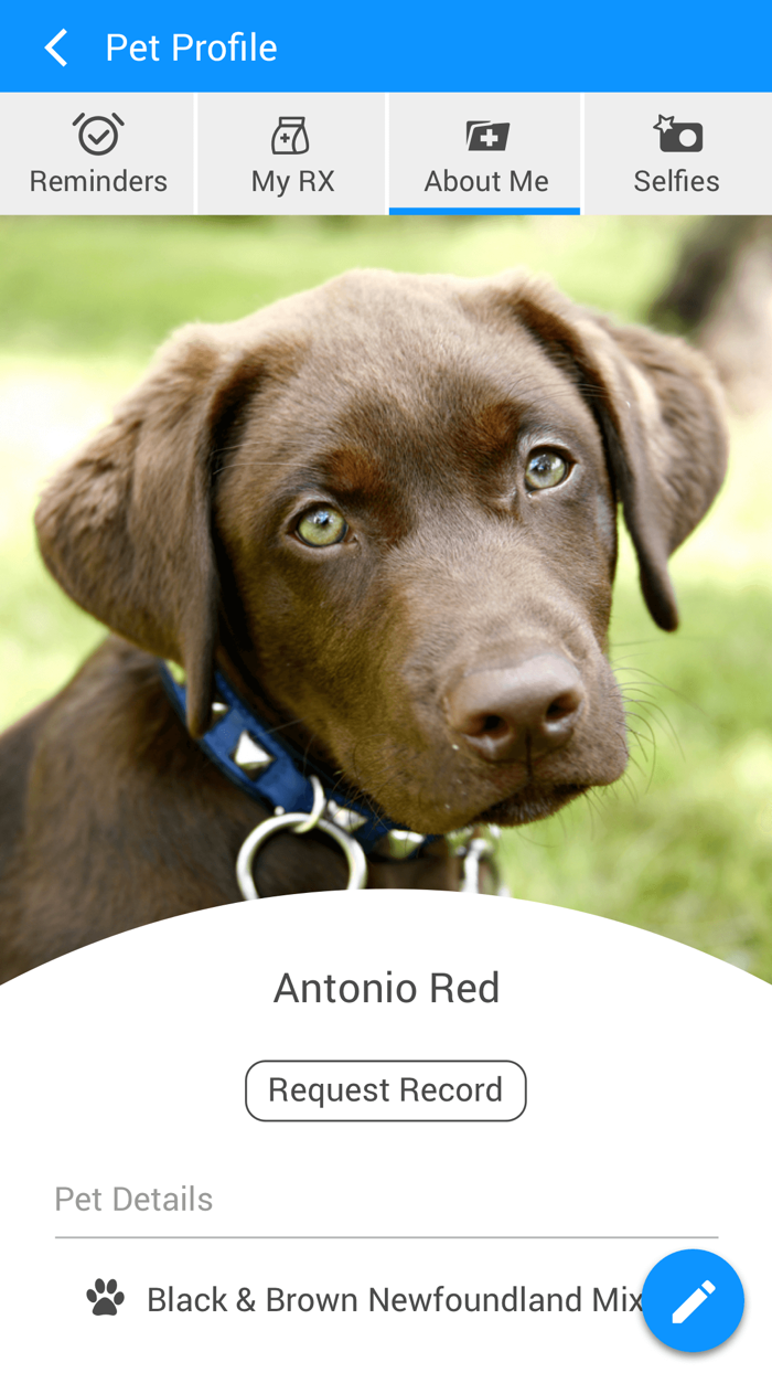 Pearson Animal Clinic