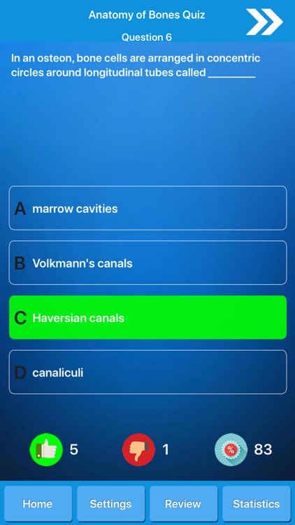 Skeletal System Anatomy screenshot-4