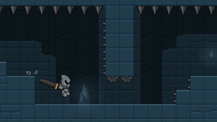 Eternal Dungeon screenshot-3