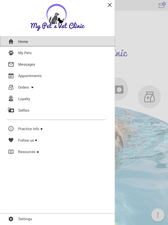 My Pets Vet Clinic Kirkland