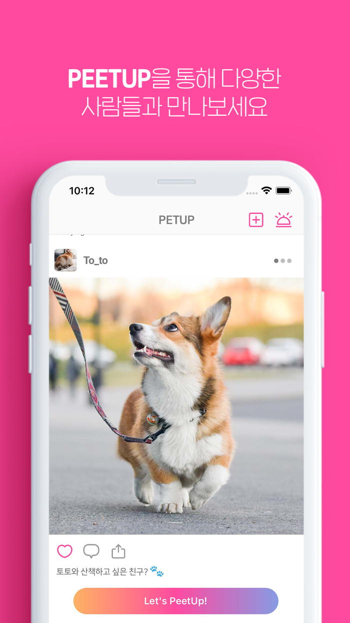 PetUP - 반려동물 소셜네트워크