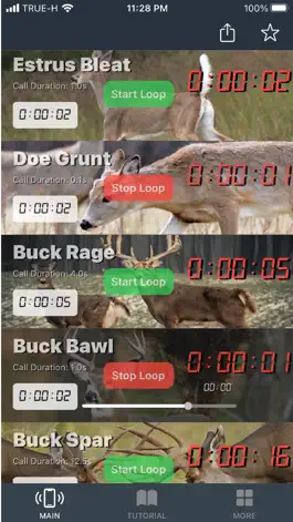 Game screenshot Whitetail Deer Calls for Hunt hack