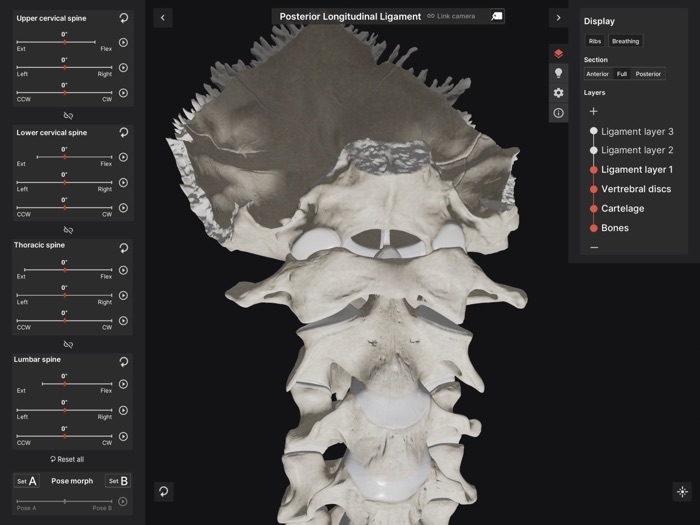 Biomechanics of the Spine Lite
