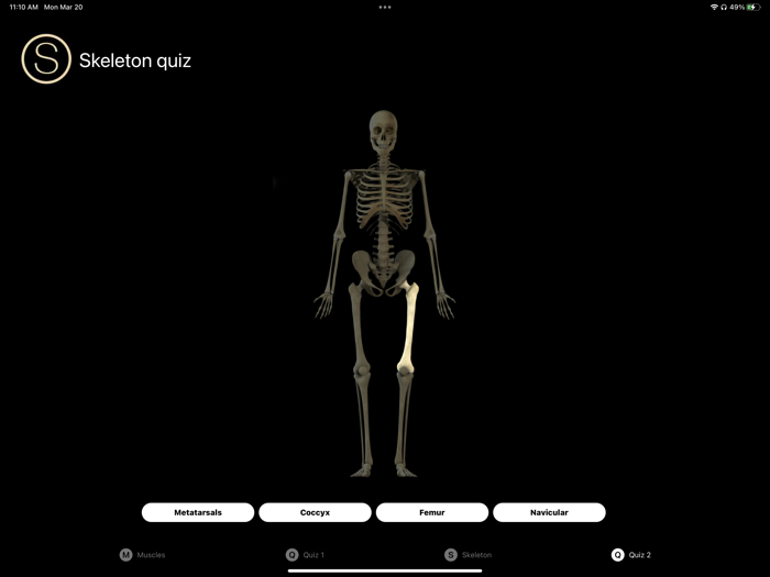 Human Anatomy Study Guide