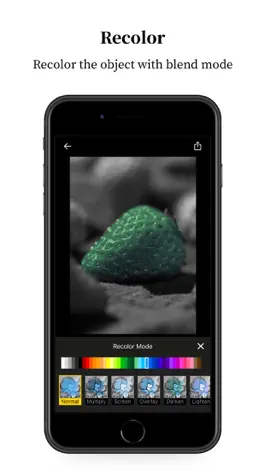 Game screenshot Color Pics - recolor pictures hack
