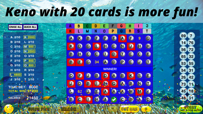 Keno - 20 Card keno games