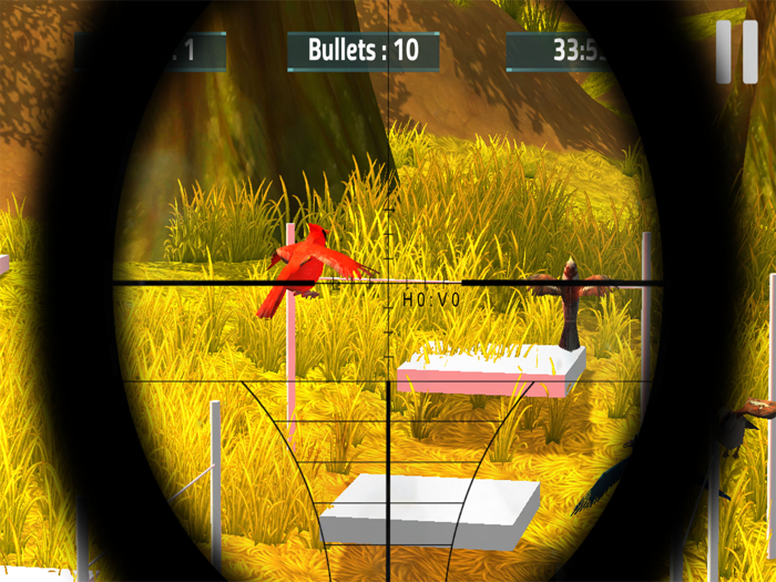 Real Bird Hunting 3D