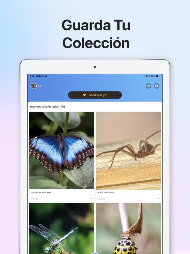 Screenshot 6 Picture Insect - Insectos ID iphone
