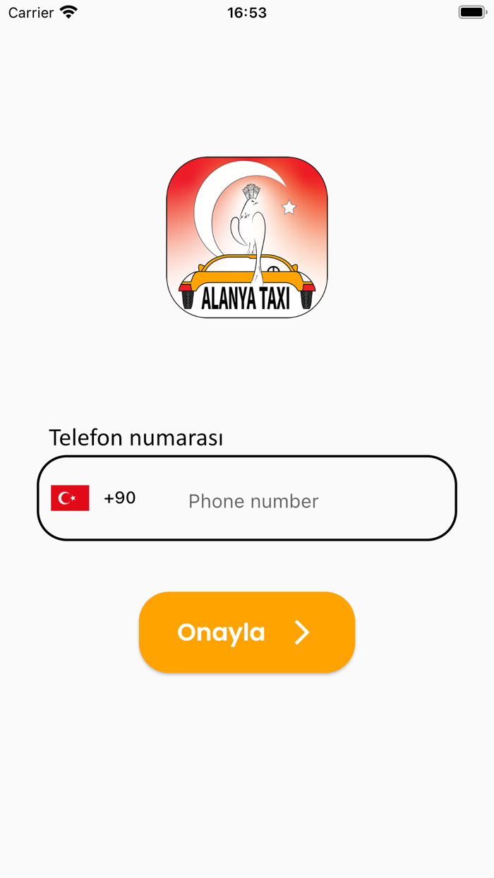 Alanya Taxi - Driver