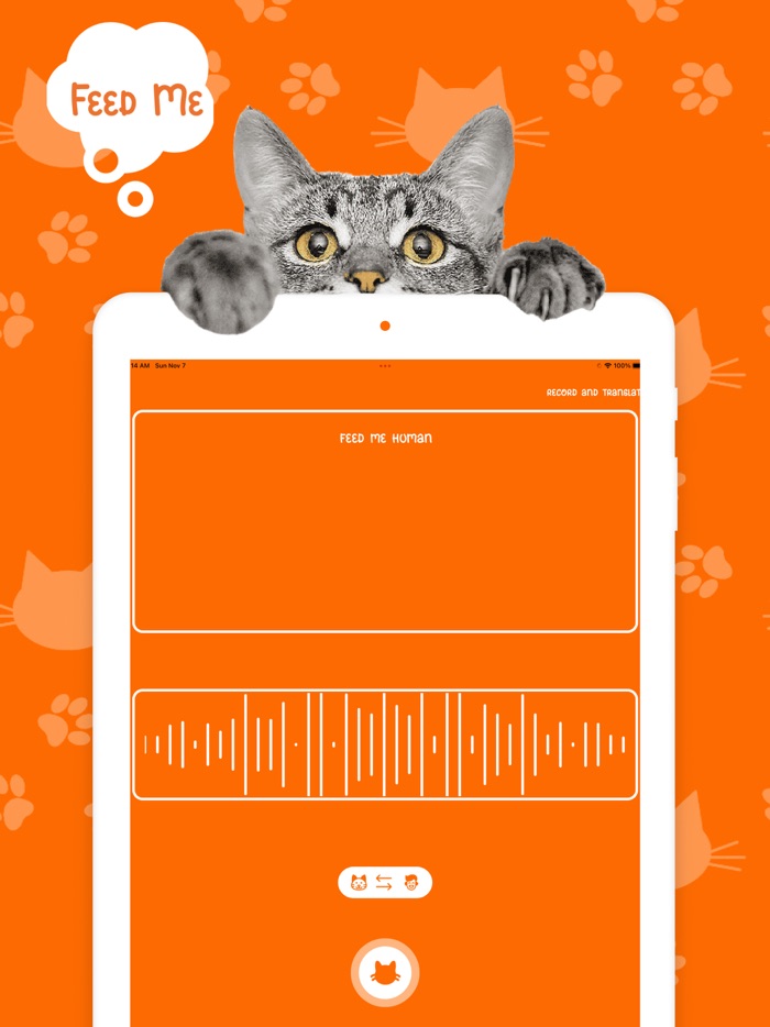 Catify Cat Translator