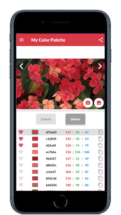 My Color Palette with Photos screenshot-4
