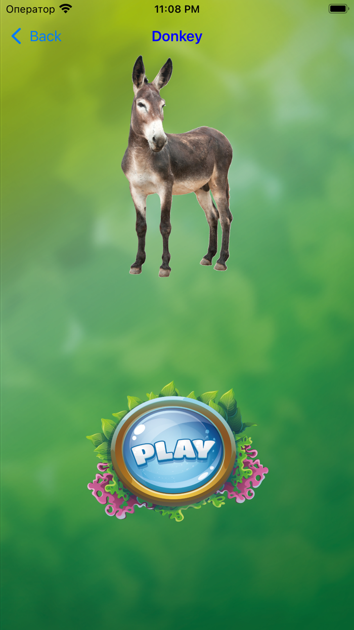 Domestic Animals with games