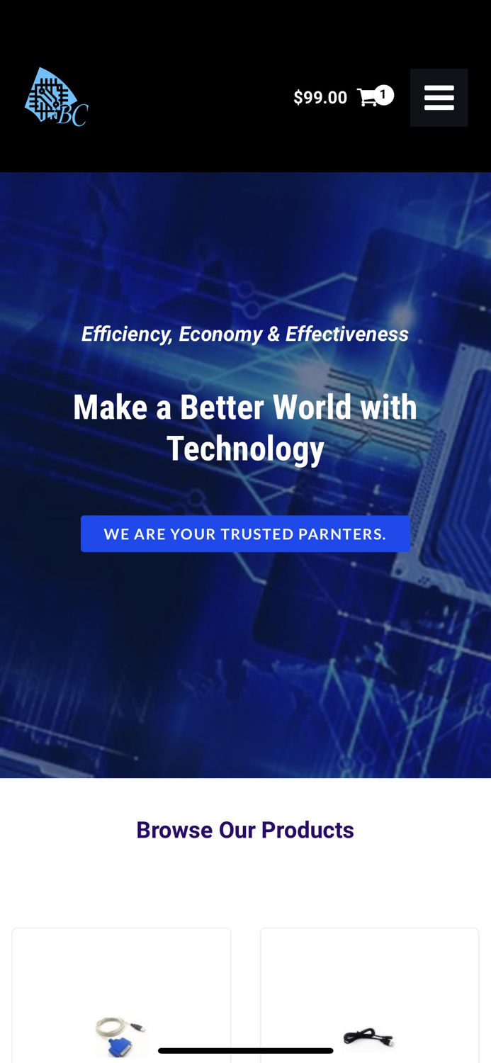 BLUE CHIPS TECHNOLOGY LIMITED