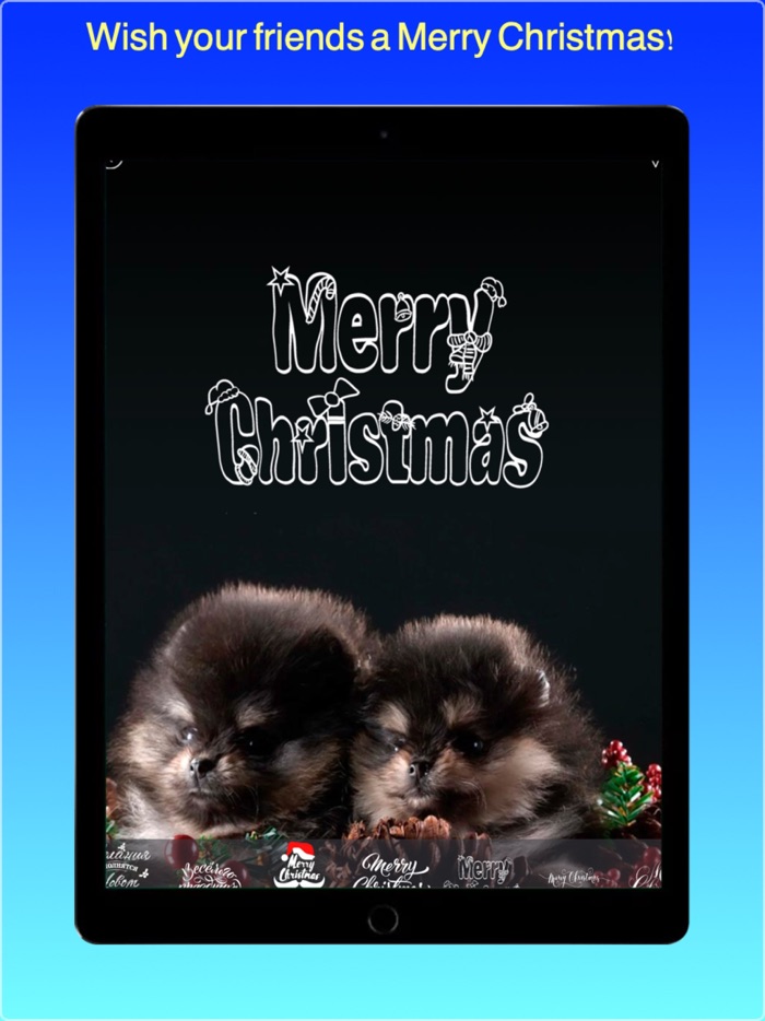 Best Christmas Wallpapers