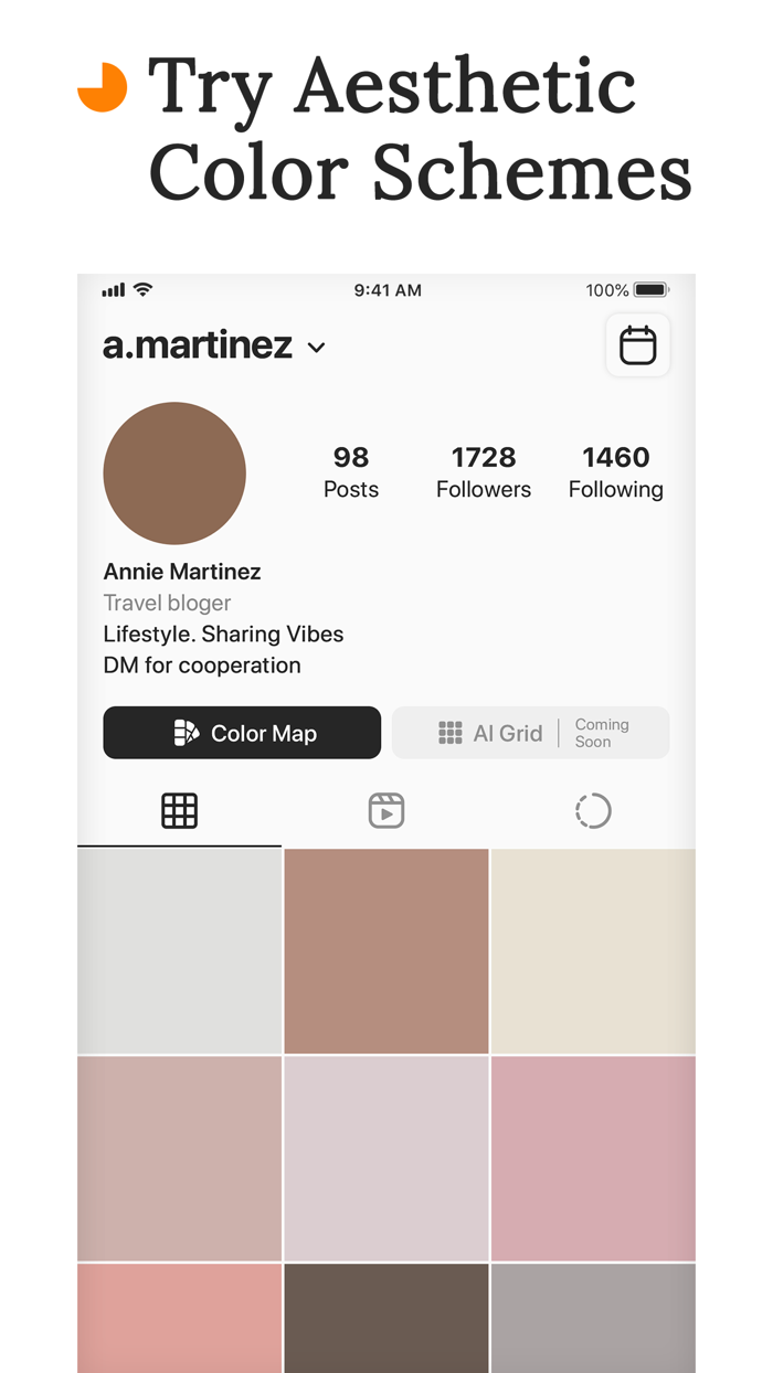 Prévia de Perfil de Instagram