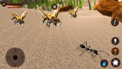 Ameise Insekt Leben SimulatorScreenshot von 3