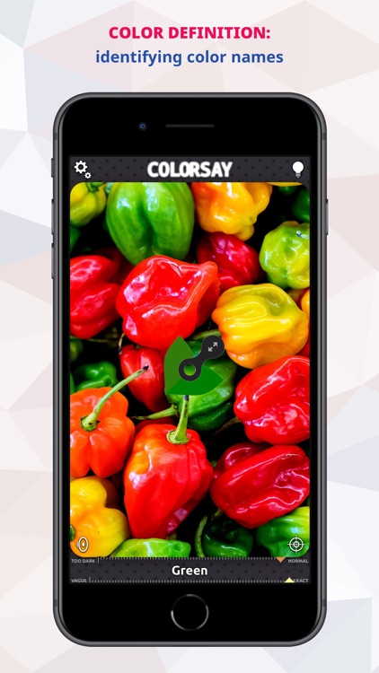 ColorSay • Color Scanner screenshot-7