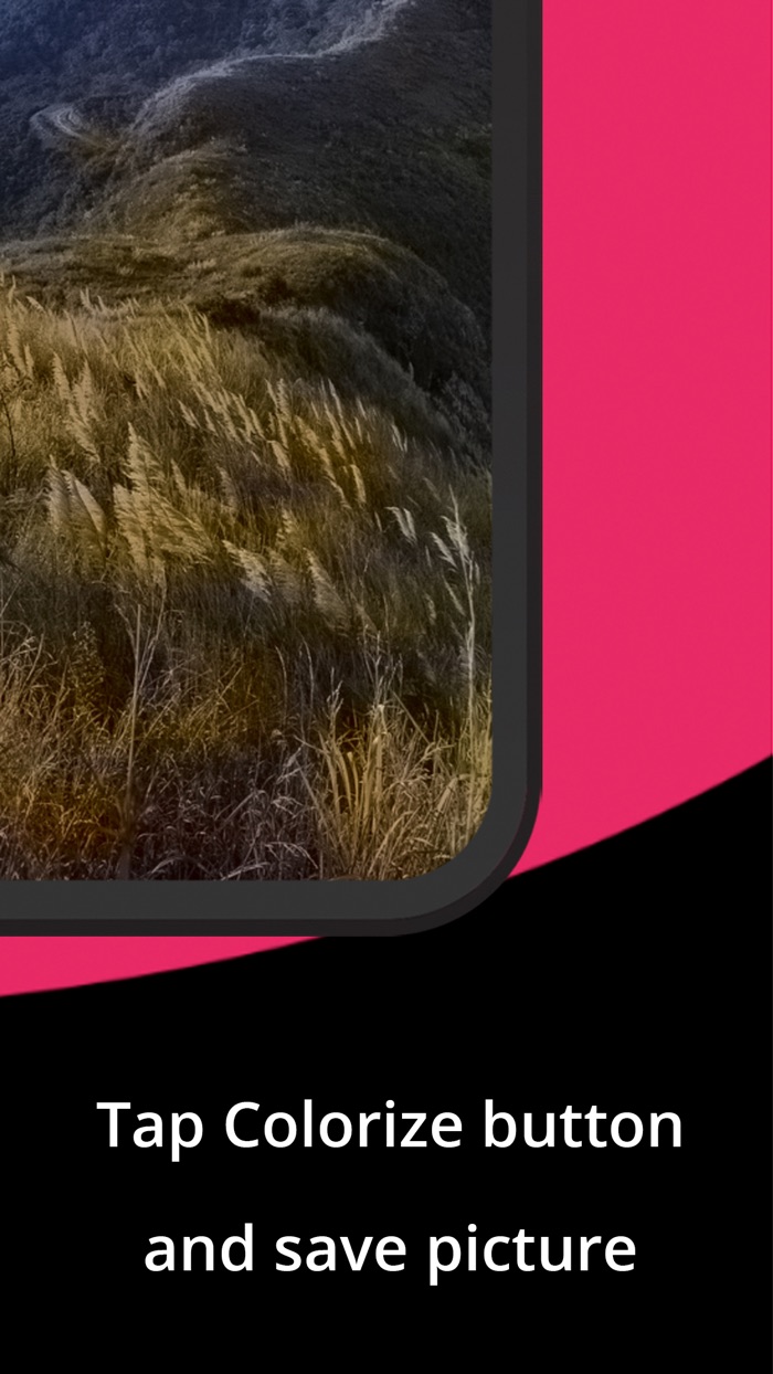 Pic2Color Image Editor