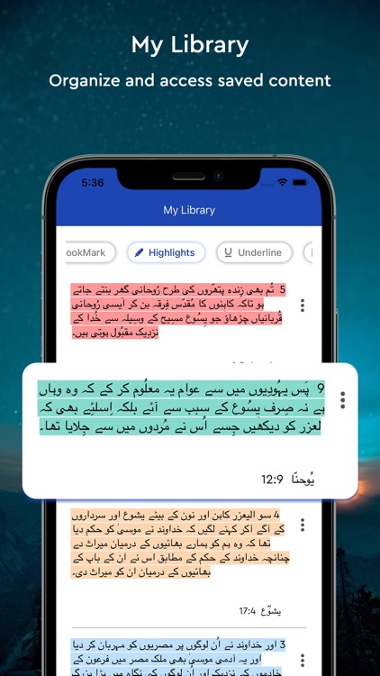 Urdu Holy Bible - اردو بائبل screenshot-4