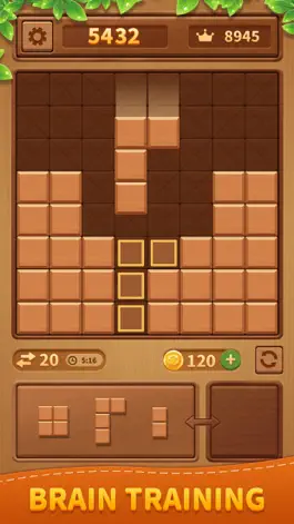 Game screenshot Woody woody-block puzzle apk