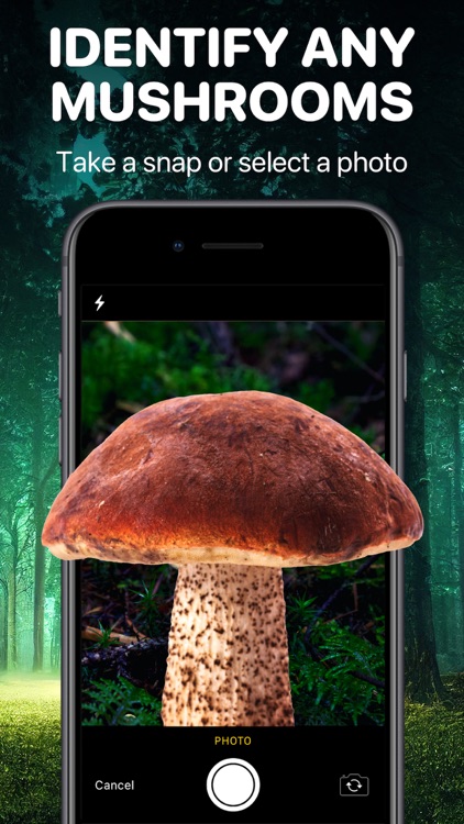 Mushroom Identifier App: Fungi