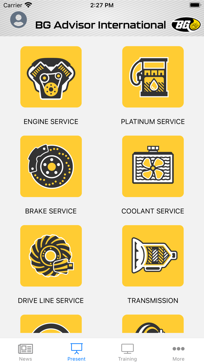 BG Advisor International